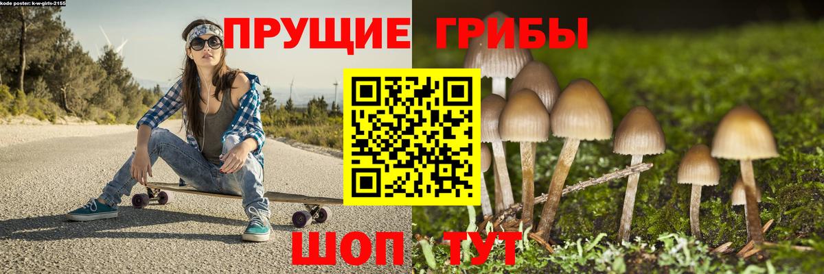 Ленинск-Кузнецкий  Псилоцибиновые грибы Cubensis  Псилоцибиновые грибы прущие грибы  Вход с VPN 