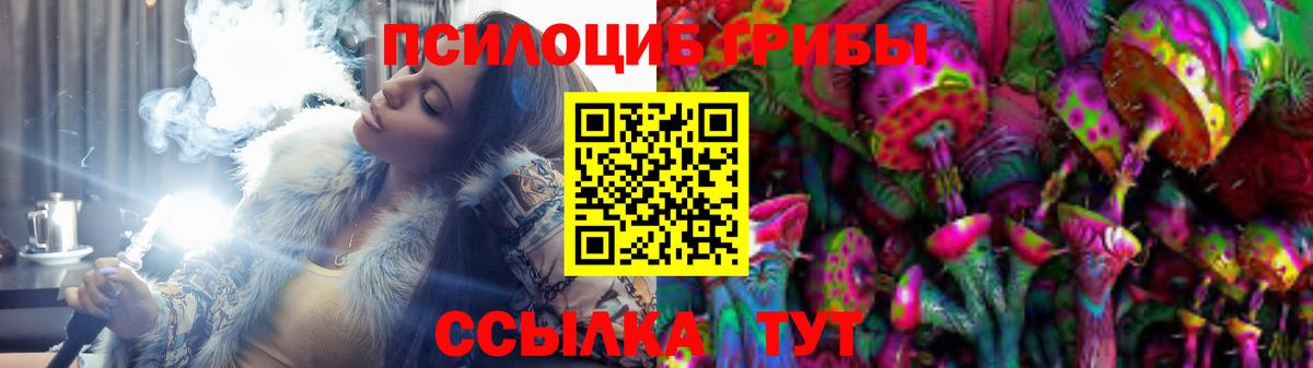 Галлюциногенные грибы прущие грибы Ленинск-Кузнецкий